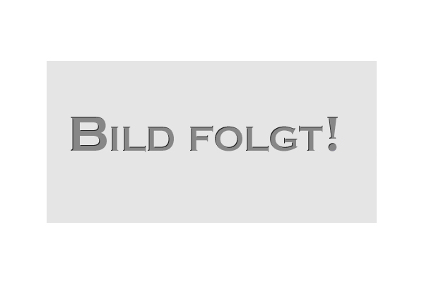 Prins DLM Benzin-Hochdruck-Pumpe Bosch Type 1 Rework