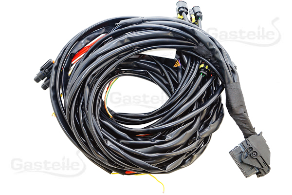 BRC P&D 8Zyl Kabelbaum mit Anschluss für PTS Sensor (DE534187)