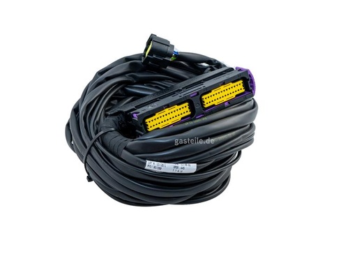 [612396000] LandiRenzo Omegas Kabelbaum 3/4 Zylinder